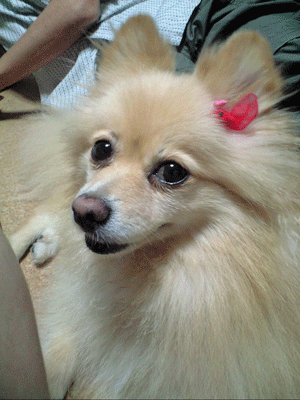 b0075318_22424341.gif