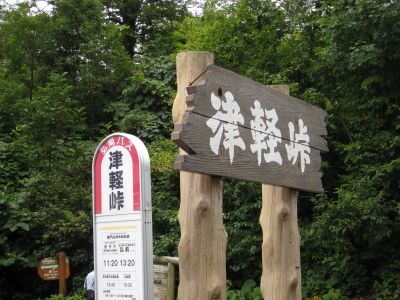 津軽峠・マザーツリー：世界自然遺産白神山地（西目屋村）_b0147224_23474584.jpg