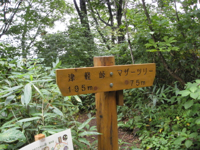 b0147224_23573152.jpg