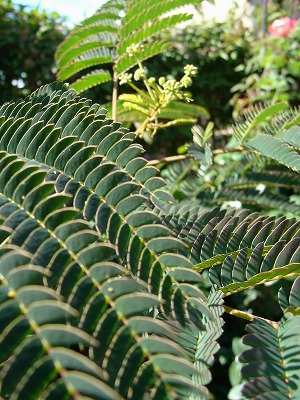 f0170524_1414121.jpg