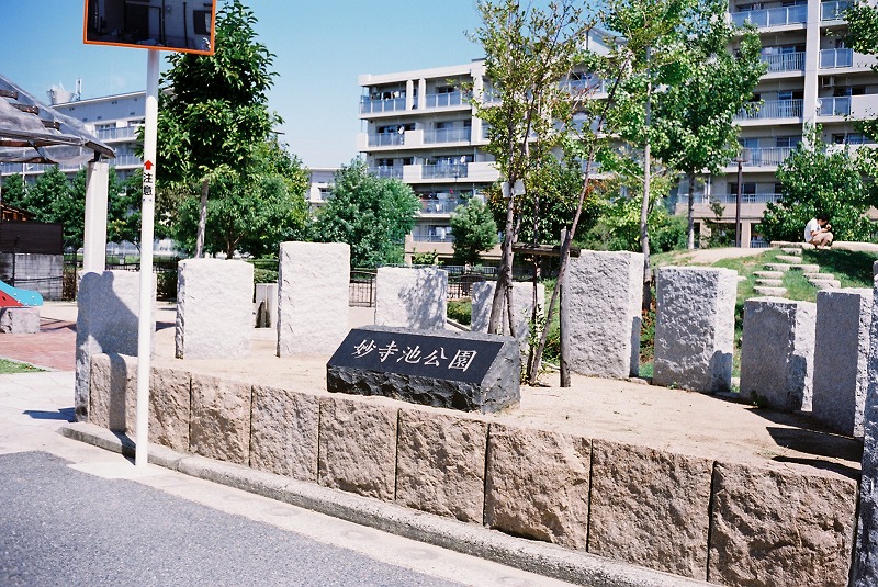 撮影の結果です。_d0138130_14424429.jpg