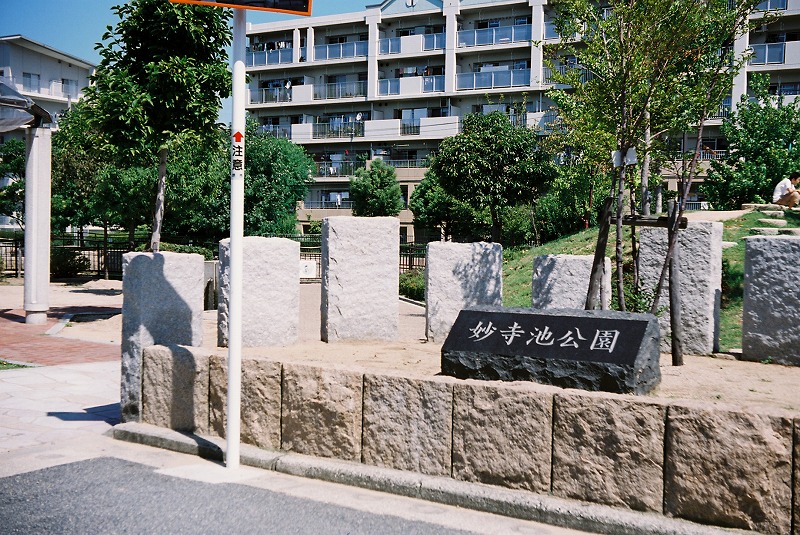 撮影の結果です。_d0138130_1444151.jpg