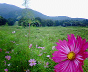 c0090236_8245121.jpg