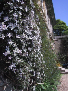 f0166749_2056312.jpg