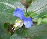 b0148050_2125133.jpg