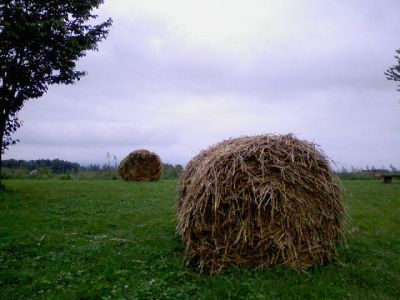 a0004359_14070.jpg