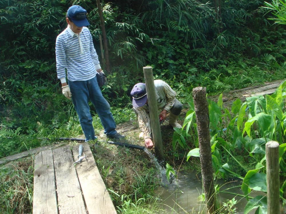 c0108460_175599.jpg