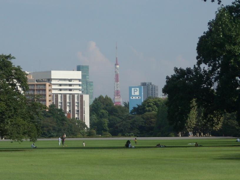 小さい秋 見つけた_a0054076_22222159.jpg