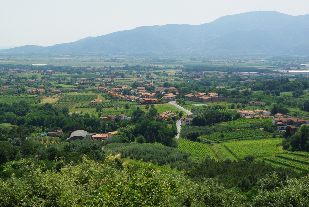d0096584_23354666.jpg