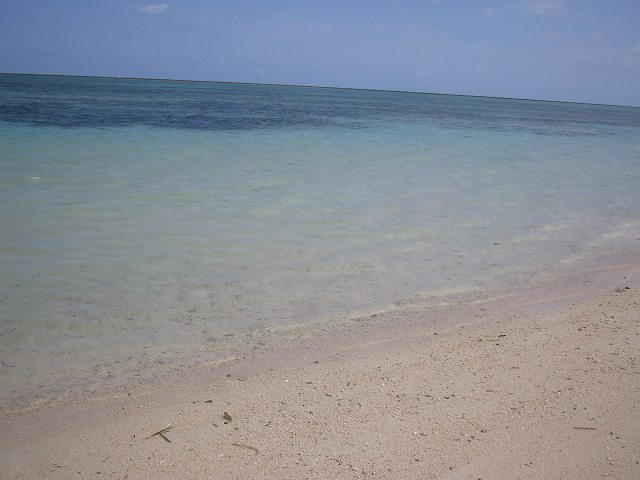 e0003090_8155623.jpg