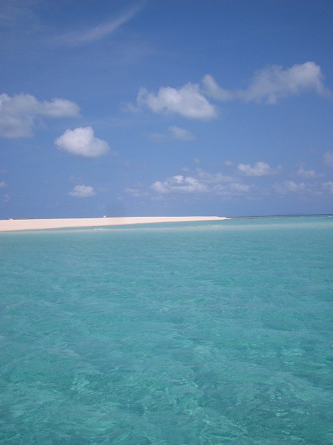 e0003090_8195683.jpg