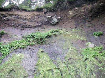 e0143892_12592070.gif