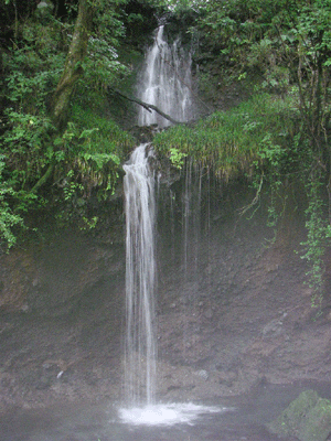 e0143892_19541877.gif