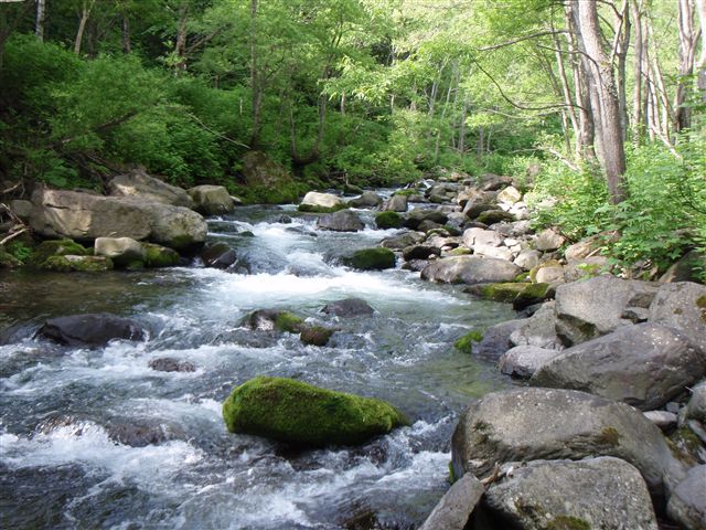 c0177497_21551852.jpg