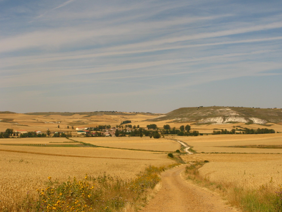 Camino de Santiagoー サンティアゴ巡礼の道_f0100599_23175266.jpg