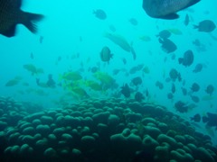 e0023100_855783.jpg