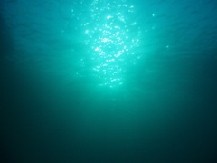 e0023100_8562567.jpg