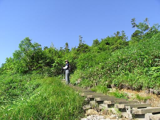 b0116703_20583950.jpg