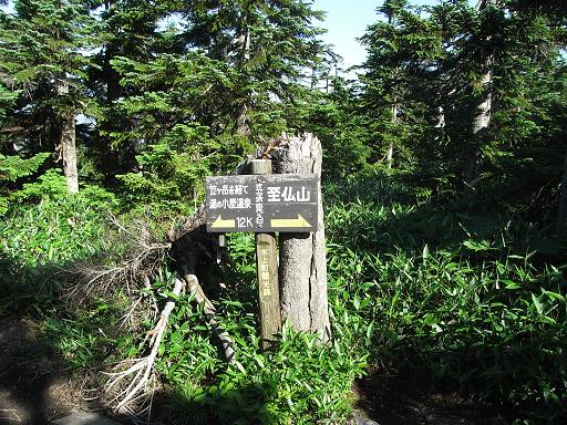 b0116703_20592787.jpg