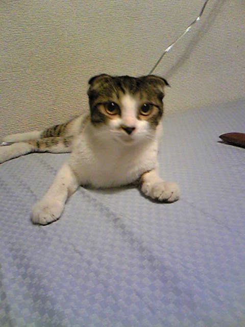 d0009105_5235125.jpg