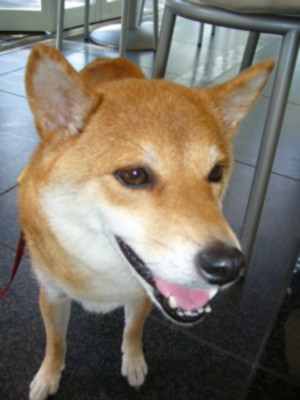 e0131506_161569.jpg