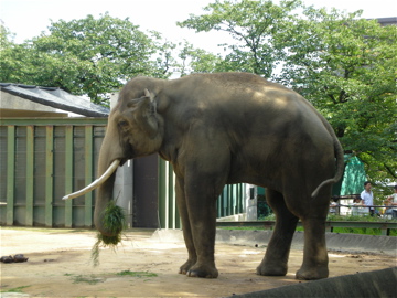 c0145209_20343848.jpg