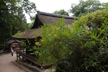 宇治上神社　（世界遺産）　その2_d0073418_10563194.jpg