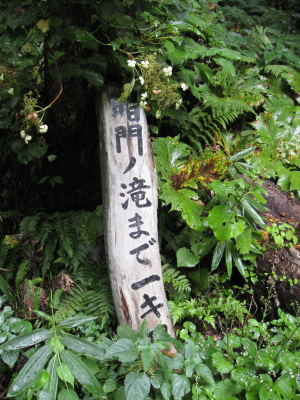 b0147224_2350560.jpg