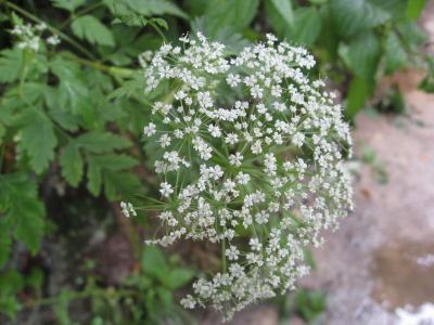 b0147224_2353504.jpg