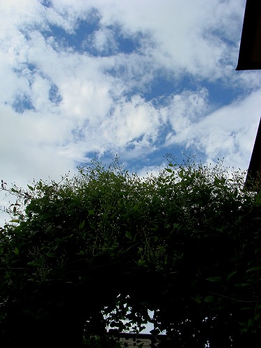 f0170524_12155192.jpg