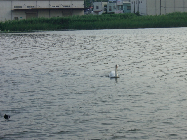 c0123029_18595675.jpg