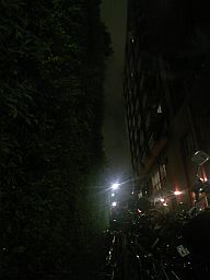 b0130341_2344558.jpg