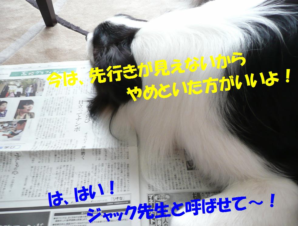 c0147241_21451198.jpg