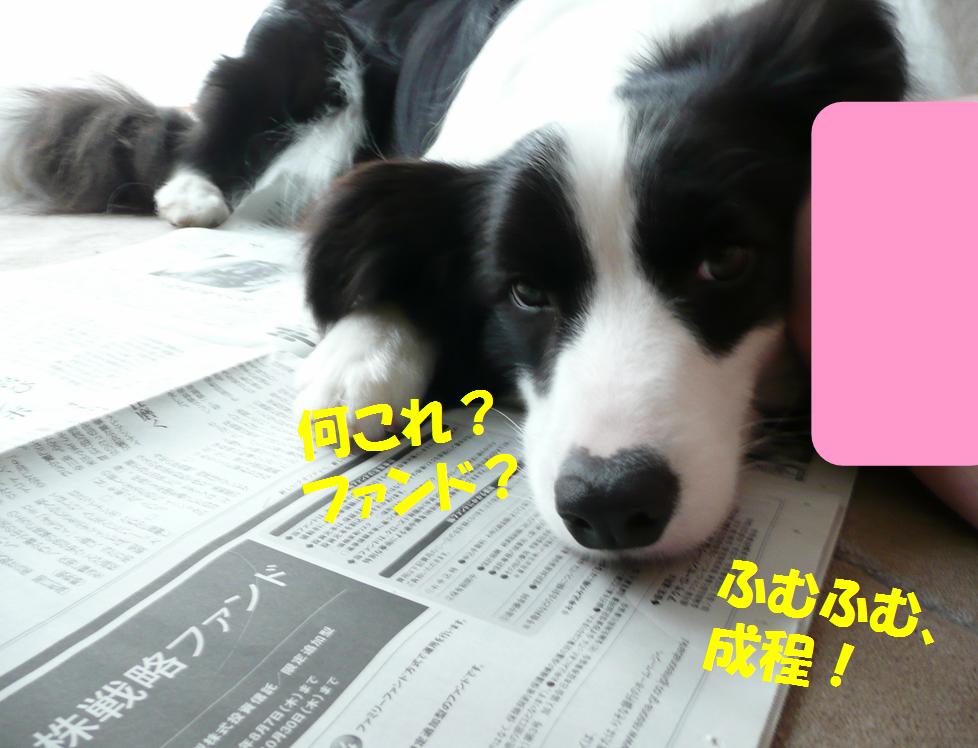c0147241_2145360.jpg