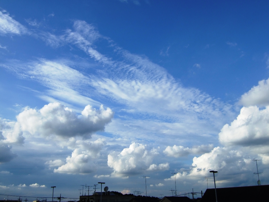 d0069942_92855.jpg