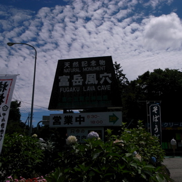 b0084243_22383768.jpg