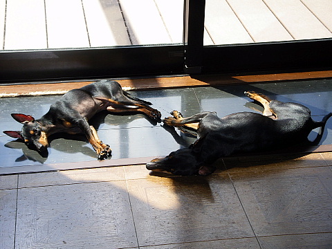 c0123149_15153427.jpg