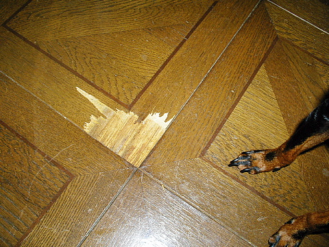 c0123149_156813.jpg