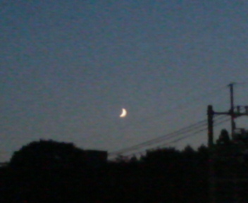 d0152549_21385938.jpg