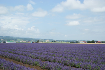 北海道旅行～6日目　その②_e0121067_19255100.jpg