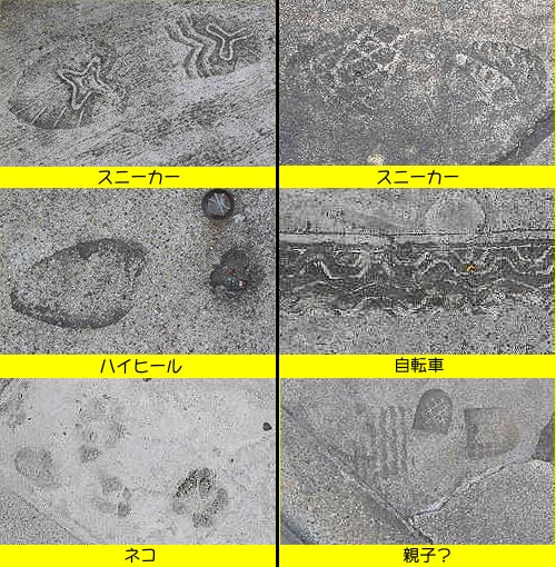 散歩しながら集めているもの-足跡_d0138170_19584668.jpg