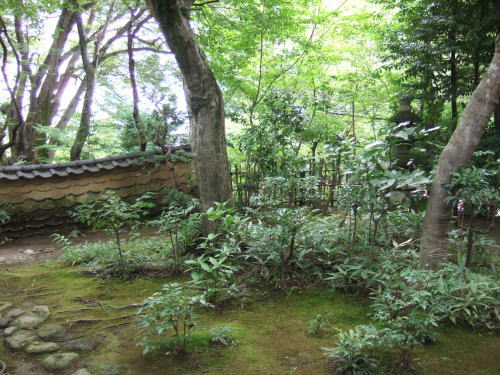 老欅荘 ろうきょそう 旧松永邸 歴史的建造史跡 ごま塩マッチの歴史探訪