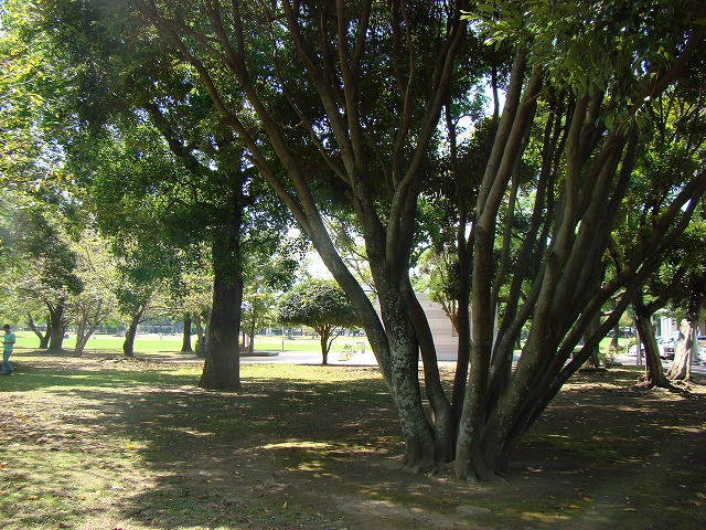 b0135573_18305728.jpg