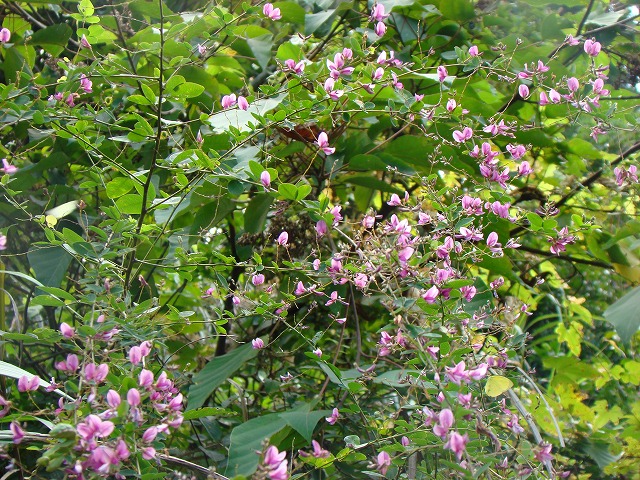 b0135573_18325584.jpg