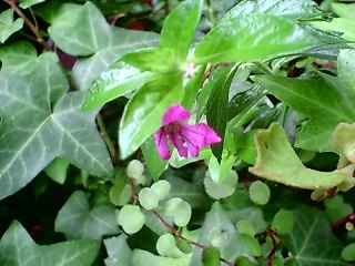 c0108673_08150.jpg