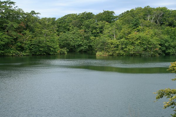 d0030373_13302460.jpg