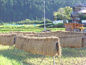 c0153477_10382646.jpg