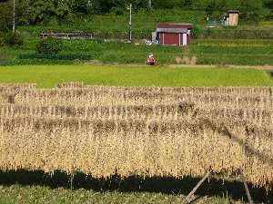 c0153477_10484555.jpg