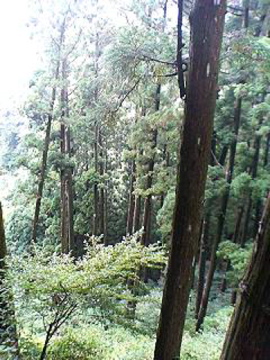 f0054677_8573794.jpg