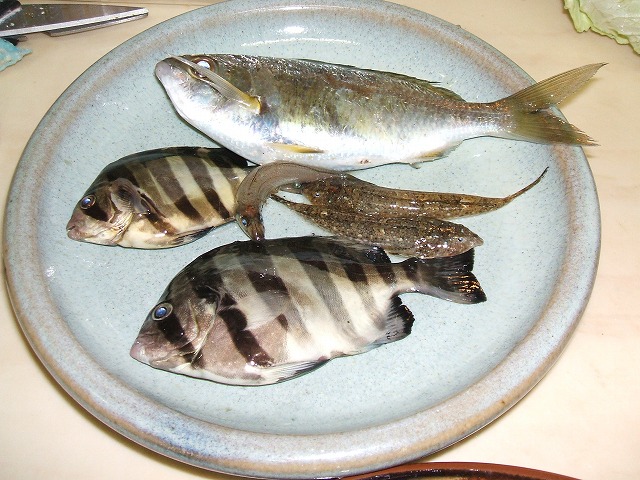 d0143678_2120046.jpg